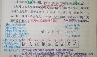 说明文作文五年级上册