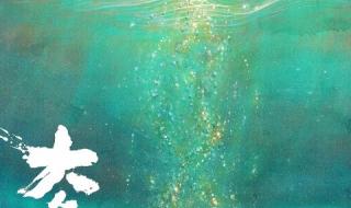 大鱼海棠什么时候上映