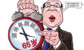 媒体查证65岁退休传闻