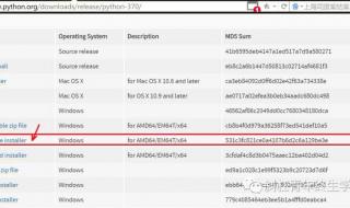windowsinstaller3.1