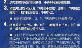 第二十条讲的什么故事